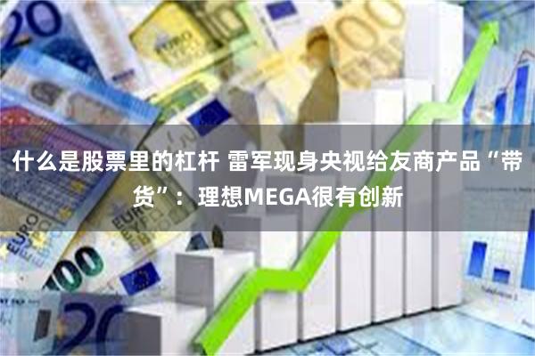 什么是股票里的杠杆 雷军现身央视给友商产品“带货”：理想MEGA很有创新