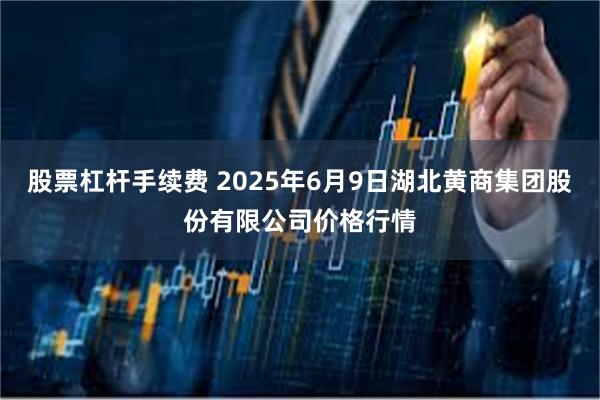 股票杠杆手续费 2025年6月9日湖北黄商集团股份有限公司价格行情
