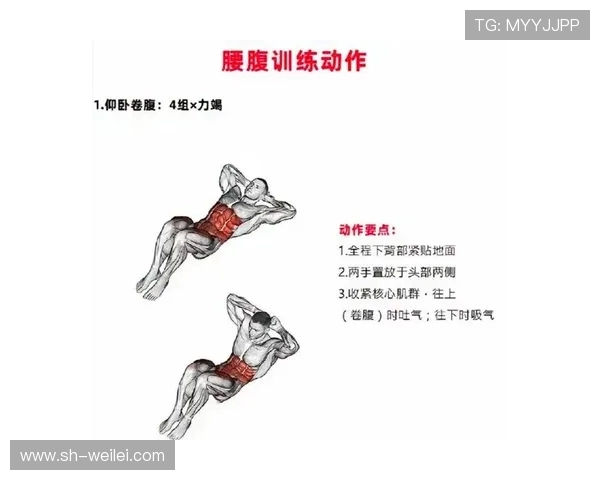 全面提升身体素质与健康的健身计划从基础动作到高级训练的全攻略 全面提升身体素质与健康的健身计划从基础动作到高级训练的全攻略