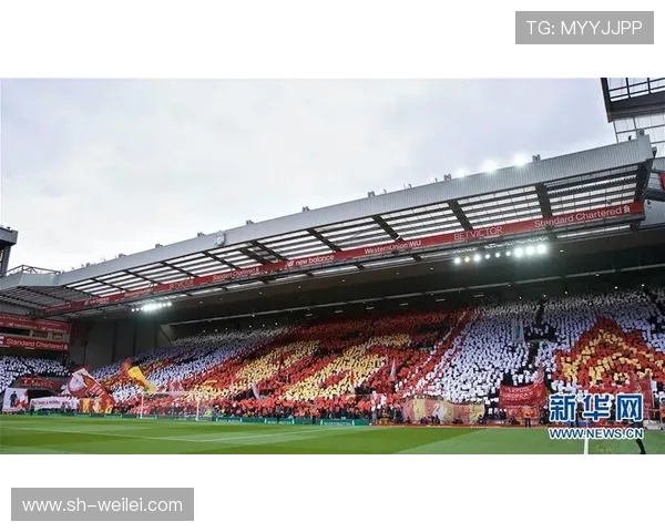 足球盛世：从球场到世界，如何看待当今足坛的崛起与挑战