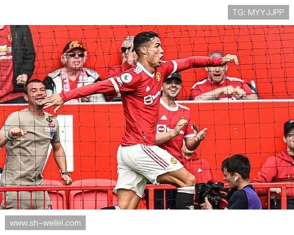 成都排球队速度引发热议球迷与专家各执己见探讨比赛策略