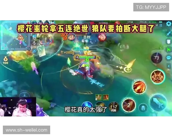 王者荣耀热议：WE战术选择引发的争议与讨论分析