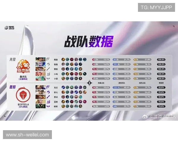 王者荣耀最新力量排名揭晓TES战队再创辉煌成就引发热议