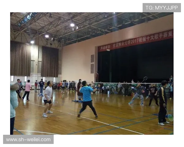 赛后分析：杭州羽毛球队与武汉羽毛球队的战术意识与表现对比