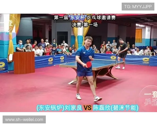 陈磊乒乓球人生的深度对话与成长历程探索