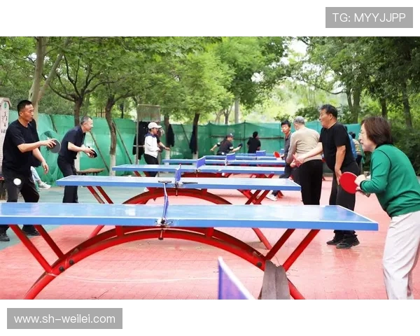 乒乓球运动的魅力与发展探究从竞技精神到全民健身的深度解析