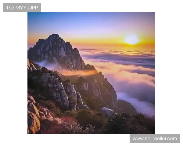 泰山文化与自然遗产的交融探索：从历史遗迹到现代生态的传承与创新