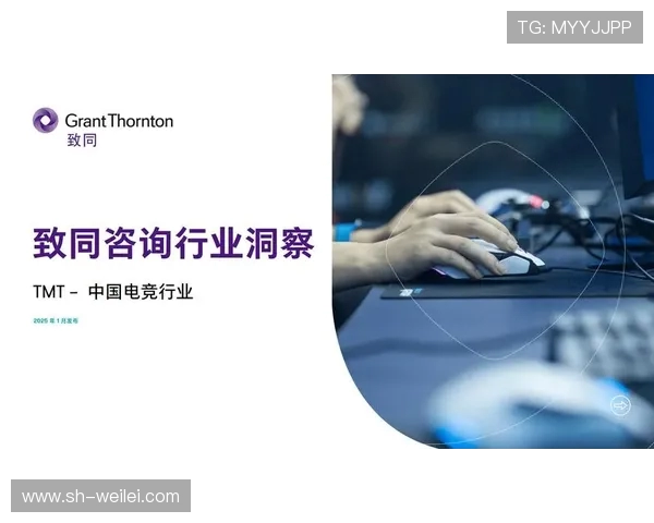 电竞产业崛起背后的发展机遇与挑战分析：从市场规模到职业化进程探讨