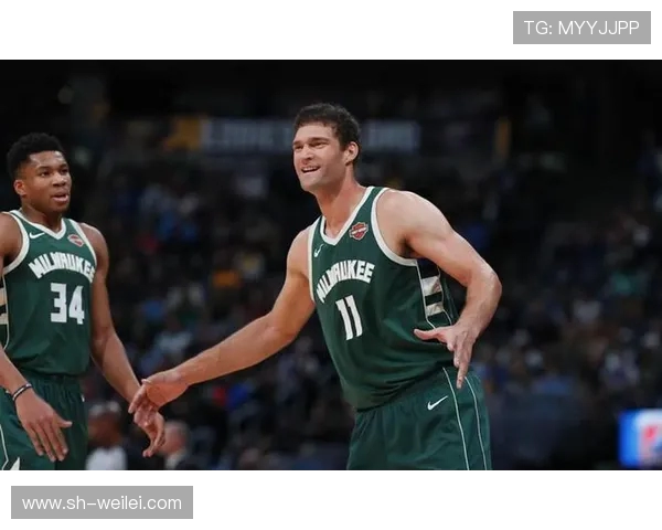 布鲁克洛佩斯:从篮球新星到NBA顶级中锋的辉煌历程与成就分析 布鲁克洛佩斯:从篮球新星到NBA顶级中锋的辉煌历程与成就分析